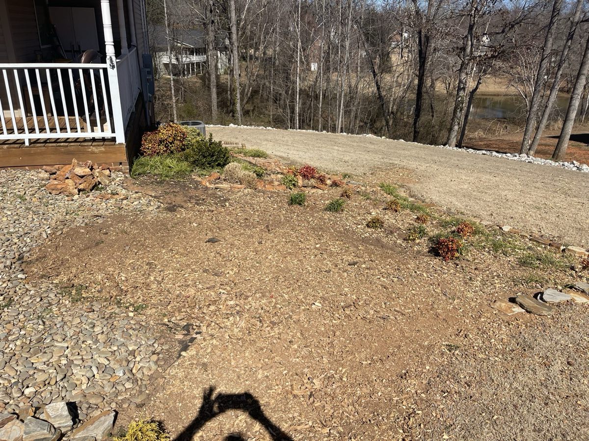 Same yard with the stump ground out and leveled, Oconee County SC