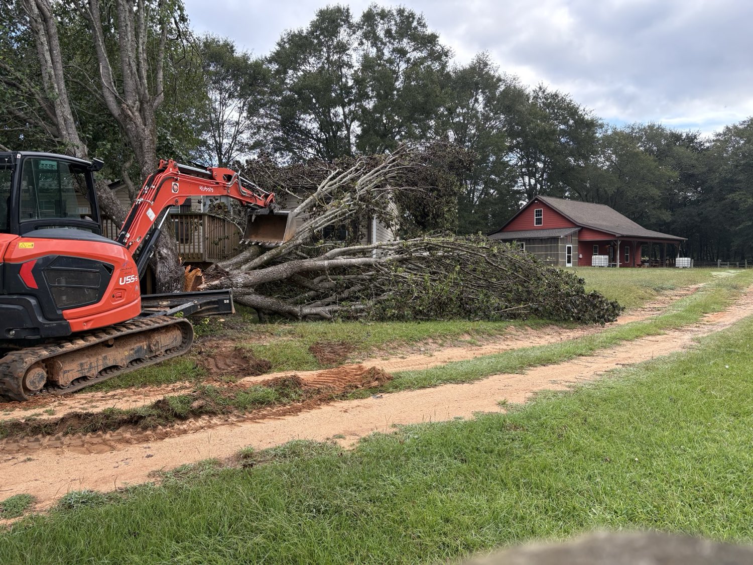 Excavator clearing a wooded property — recent Blue Mountain Grading work