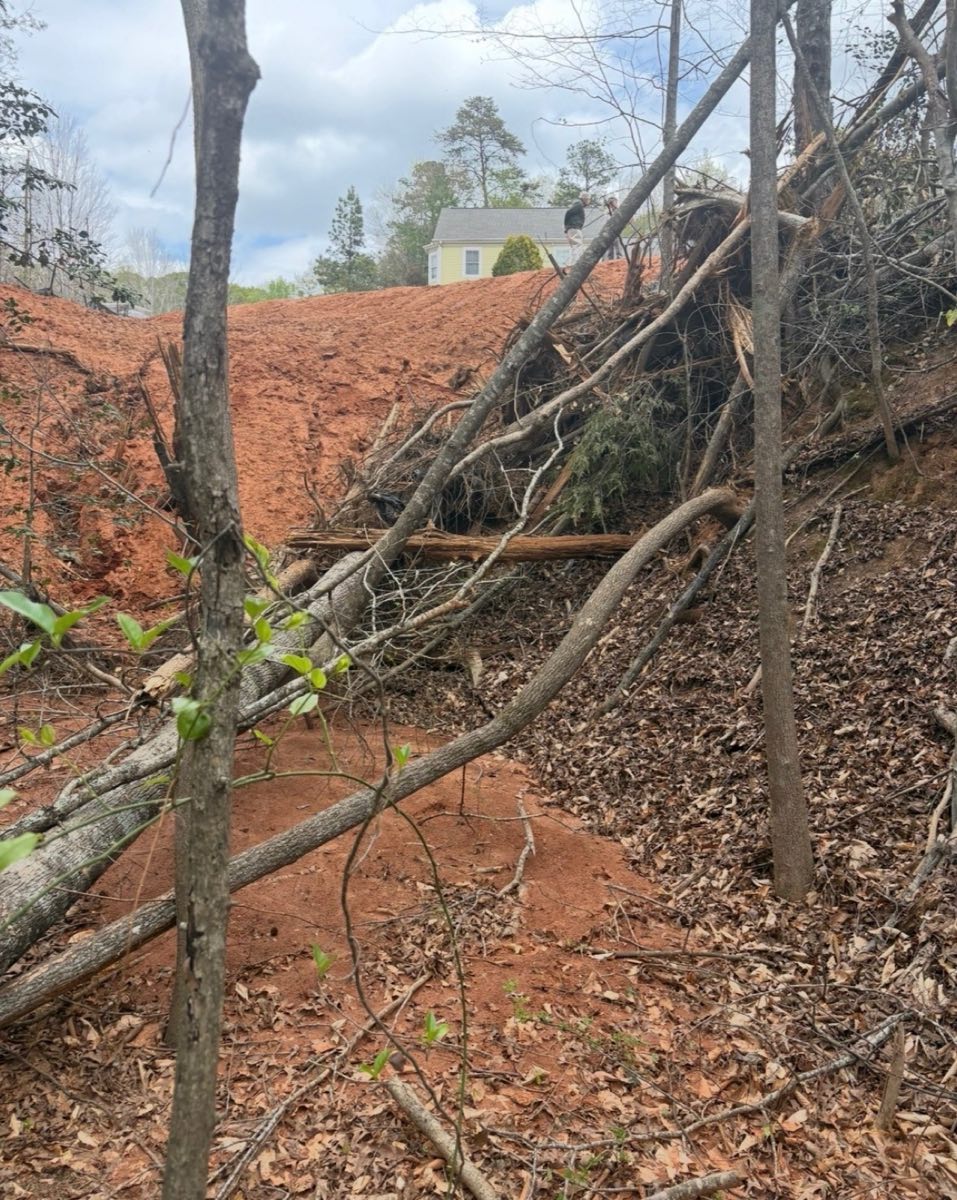 Hillside land clearing and tree removal in Six Mile, SC